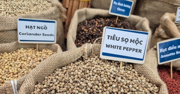 5 ngành hàng tỉ đô kiến nghị Quốc hội gỡ khó