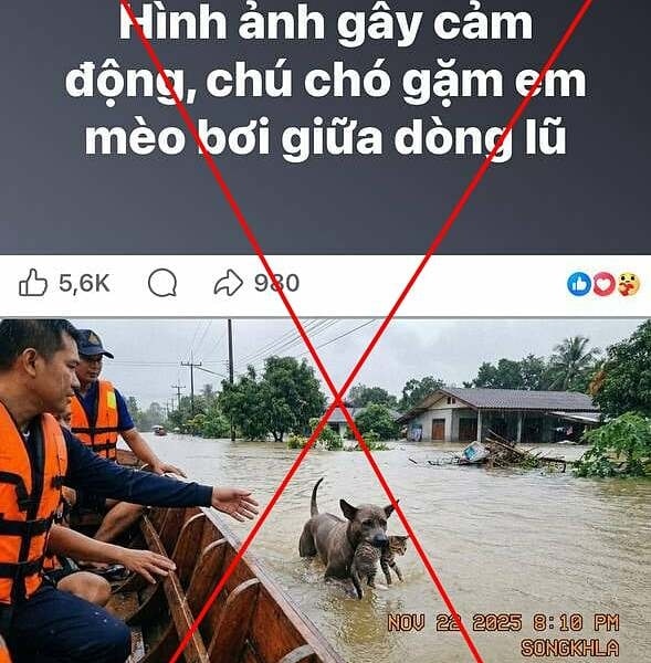 Hàng nghìn người sập bẫy ảnh 'chó ngậm em mèo bơi giữa lũ'