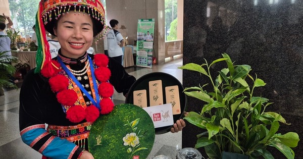 Rộn ràng khởi nghiệp ở vùng cao