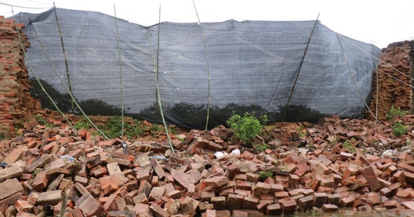 Thách thức bảo tồn di sản trước thiên tai từ vụ sập tường Hoàng thành Huế