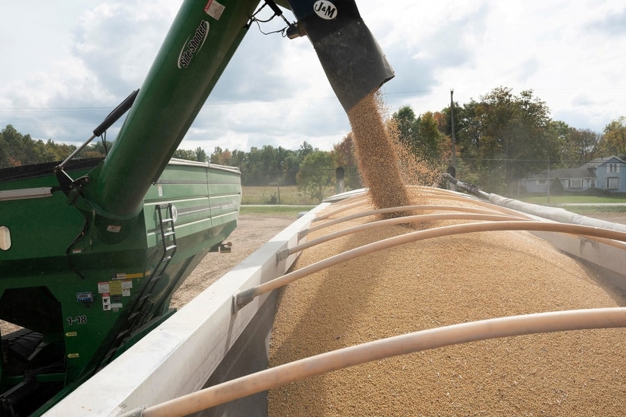 Trung Quốc chi 300 triệu USD mua thêm đậu nành Mỹ