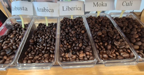 Giá cà phê hôm nay 26-11: Tăng 3 con số trở lại