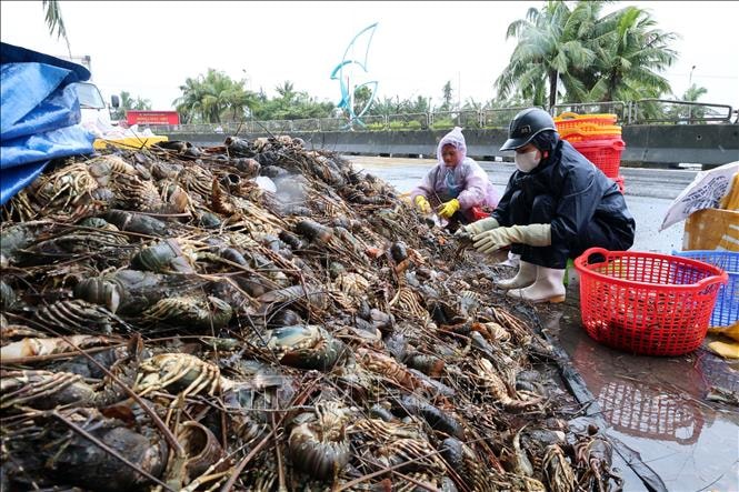 Gỡ 'điểm nghẽn' hoàn thuế, hỗ trợ doanh nghiệp khắc phục hậu quả bão lũ