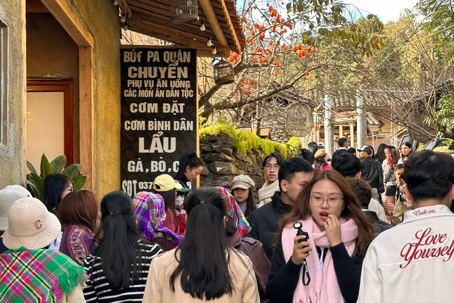 Cây hồng được check in nhiều nhất Lô Lô Chải