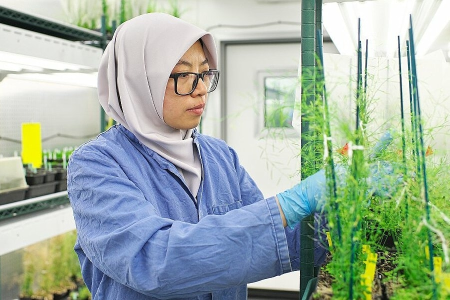 Nhà khoa học bàn giải pháp cho nông nghiệp và chăn nuôi bền vững