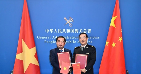 Mít tươi được phép xuất khẩu chính ngạch sang Trung Quốc