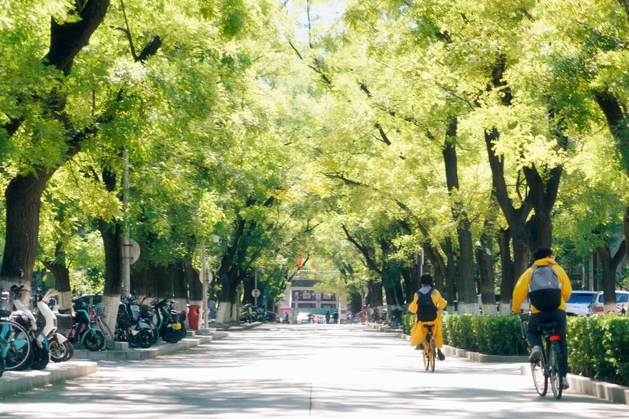 Học bổng chính phủ Trung Quốc cho du học sinh Việt giảm mạnh