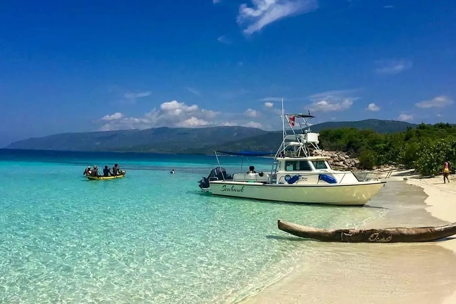 Hai thanh niên ủ mưu lập đội quân vô gia cư đi chiếm đảo Caribe