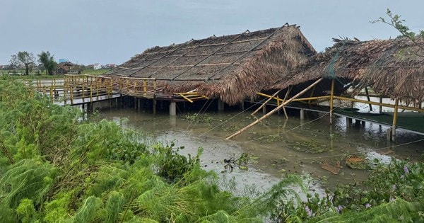 Chàng trai 8X vượt qua giông bão, quyết “hồi sinh” khu sinh thái ven đô Hà Tĩnh