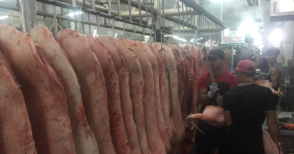 Giá heo hơi hôm nay, 28-11: Giá heo pha lóc giảm đáng kể