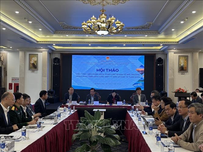 Bảo vệ môi trường biển tạo dựng nền tảng cho phát triển kinh tế biển bền vững