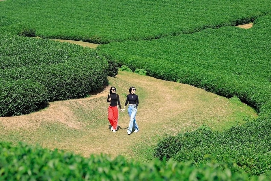 Nông nghiệp xanh ở Sơn La tạo nên thương hiệu du lịch nông thôn Tây Bắc