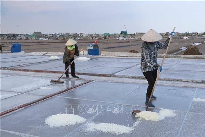 Nâng cao giá trị hạt muối phơi cát