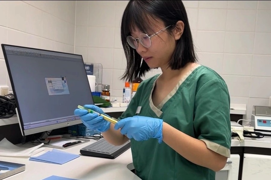 Công việc dỗ dành bệnh nhân như trẻ con nhưng sơ hở là mất việc