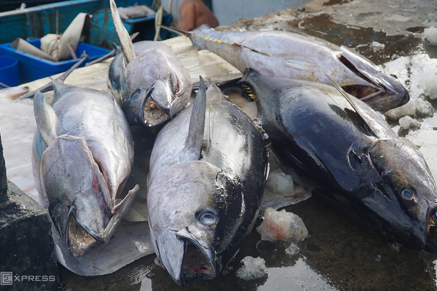 Xuất khẩu thủy sản có thể cán mốc 11 tỷ USD