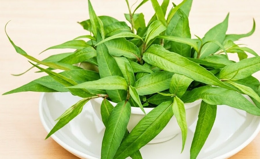 Ăn nhiều rau răm có giảm sinh lý nam?