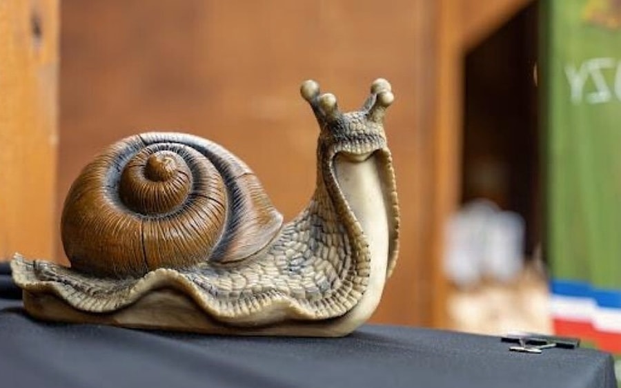 Đột nhập trang trại, trộm số ốc sên hơn 100.000 USD