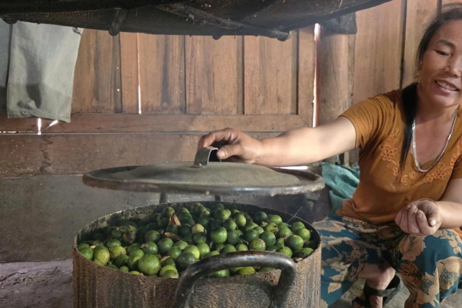 Loại quả gợi nhớ thời khó khăn nay giúp dân bản thu nhập khá