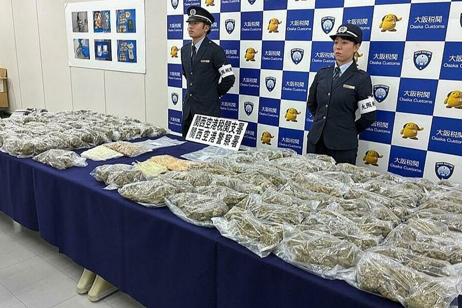 Hai người Việt bị truy tố vì mang hơn 30 kg cần sa vào Nhật