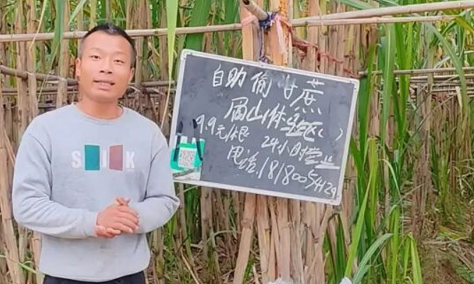 Kiếm bộn tiền từ dịch vụ 'làm kẻ trộm'