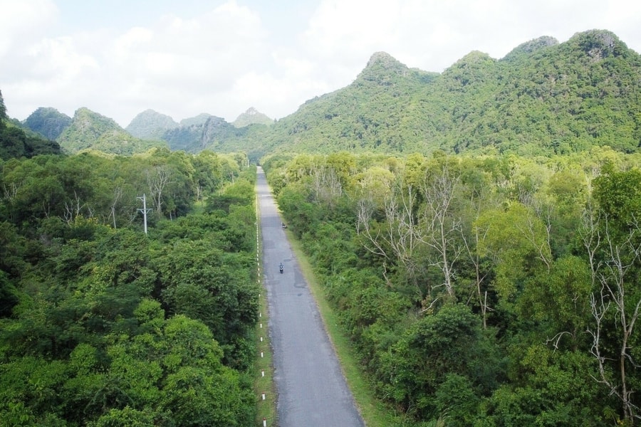 Hải Phòng dự kiến thu hàng trăm triệu USD từ giao dịch carbon