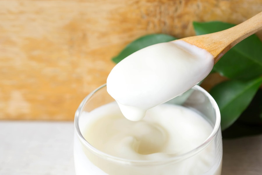 Vaccine và sữa chua giúp hạn chế nhiễm vi khuẩn kháng thuốc