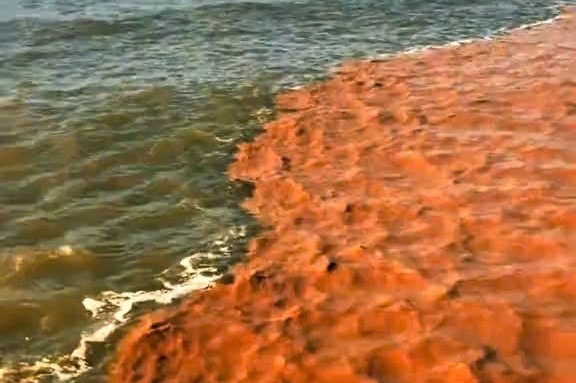 Hiện tượng hai màu nước kỳ lạ xuất hiện trên vùng biển Cà Mau