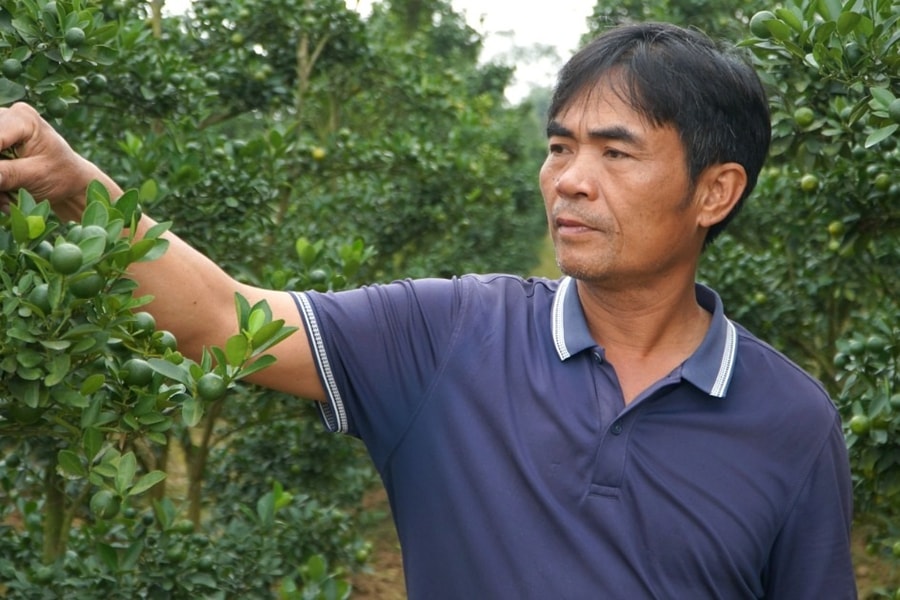 Từ câu nói đùa đến quyết định "điên rồ", người đàn ông thành triệu phú