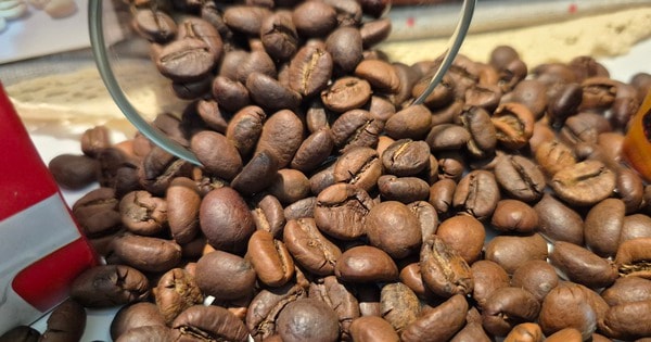 Giá cà phê hôm nay 5-12: Cắt mạch giảm và tin tốt ở thị trường số 1