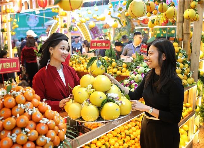 Ấn tượng vẻ đẹp vùng cây ăn quả của Bắc Ninh