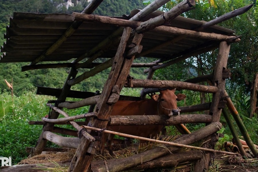 Nâng cao năng lực cán bộ làm công tác giảm nghèo