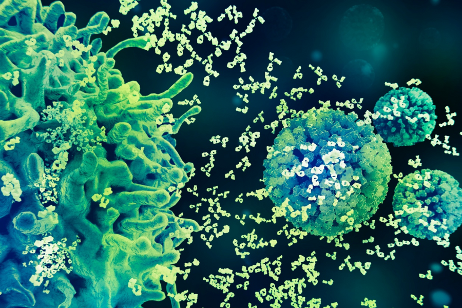 Bộ 3 giải pháp chủ động phòng ngừa HPV