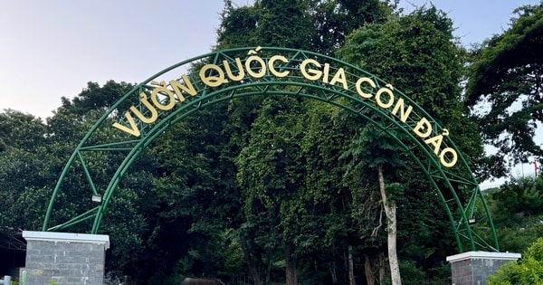 TPHCM: Thành lập Hạt Kiểm lâm rừng đặc dụng Vườn Quốc gia Côn Đảo