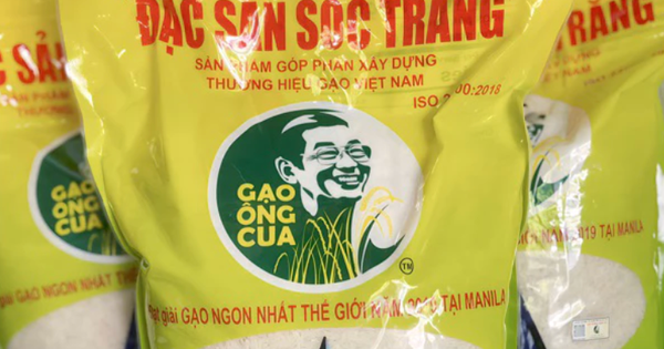 Giống lúa ST25 sản xuất bao nhiêu, bán hết bấy nhiêu