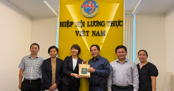 Lãnh đạo Văn phòng An ninh Lương thực Nhật Bản tìm đến Việt Nam giữa cơn sốt giá gạo