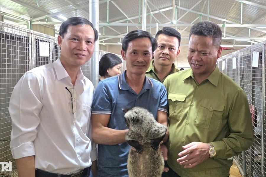 Nuôi con đặc sản, nông dân thu hàng trăm triệu đồng mỗi năm