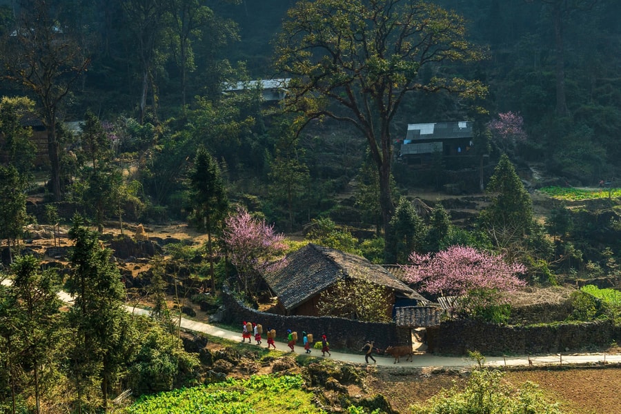 Cao nguyên đá Đồng Văn là 'Điểm đến văn hóa hàng đầu thế giới 2025'