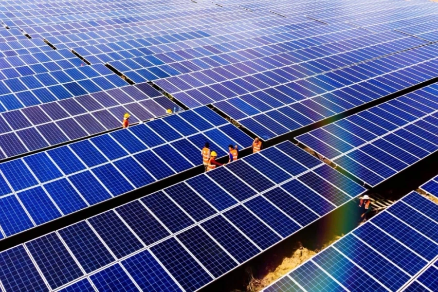 Bamboo Capital dự kiến có lãi trở lại từ 2028