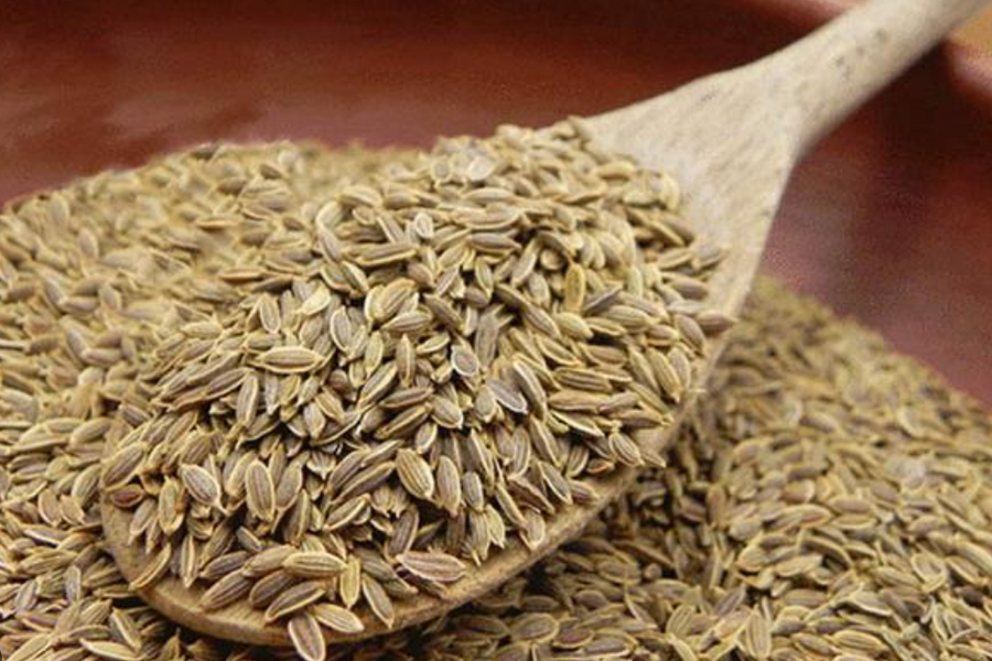 Lợi ích khi nhai hạt thì là sau bữa ăn