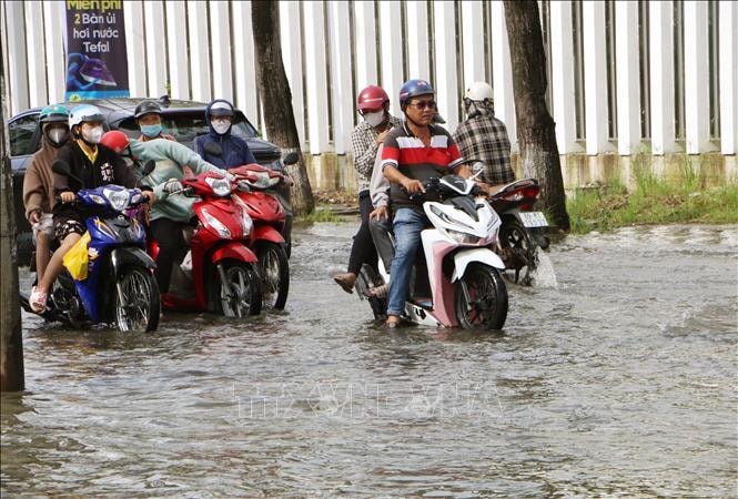 Triều cường dâng cao, tuyến Quốc lộ 1 qua Cà Mau ngập sâu