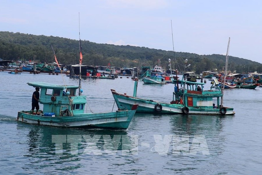 Quản lý chặt chẽ, đảm bảo 100% tàu cá được cập nhật lên dữ liệu quốc gia