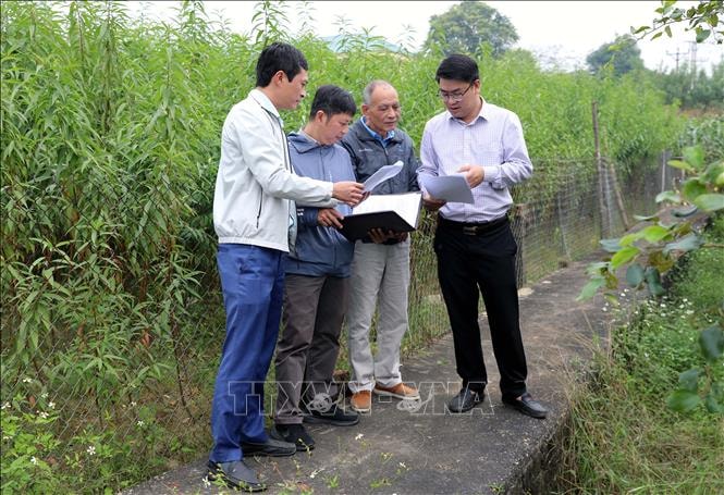 Phú Thọ gỡ khó bảo đảm tiến độ giải phóng mặt bằng tuyến đường sắt tỷ USD