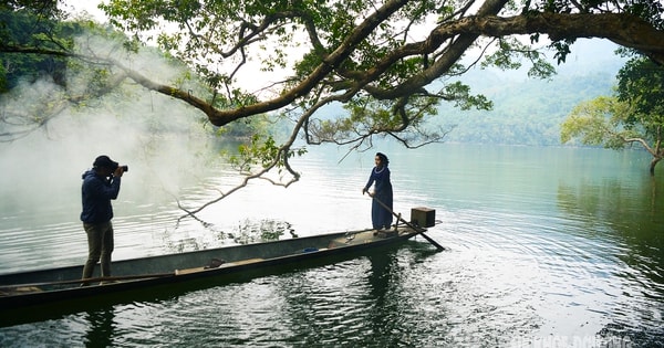 Rừng cổ thụ 'khoác áo mới' bên hồ nước ngọt đẹp nhất thế giới