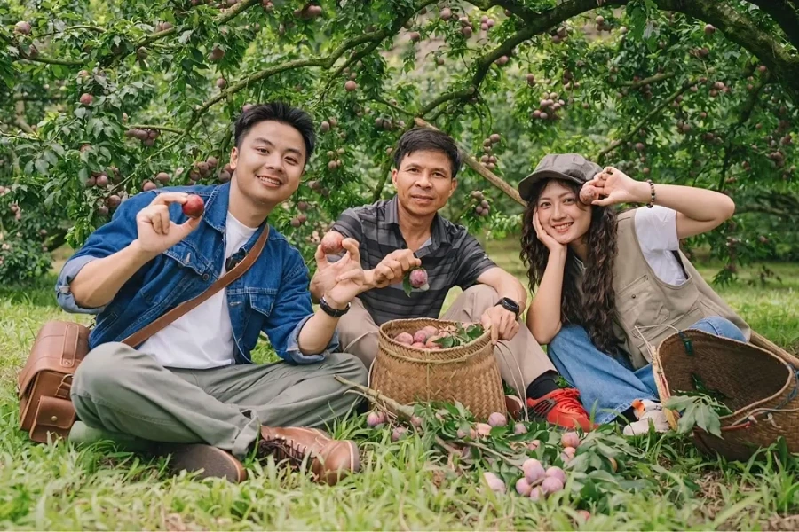 5 trải nghiệm thu hoạch nông sản theo mùa hút du khách