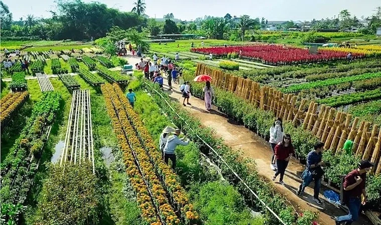 Chuẩn hóa tiêu chí xanh để định vị lại du lịch nông thôn