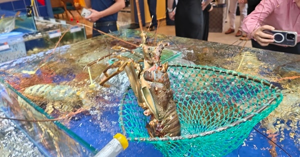 Xuất khẩu tôm lập kỷ lục