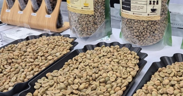 Giá cà phê hôm nay 9-12: Lao dốc tiếp