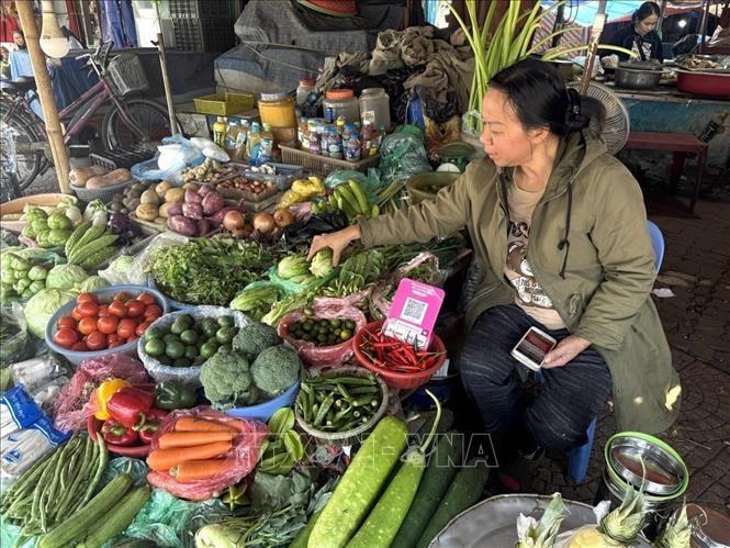 Giá rau xanh hạ nhiệt