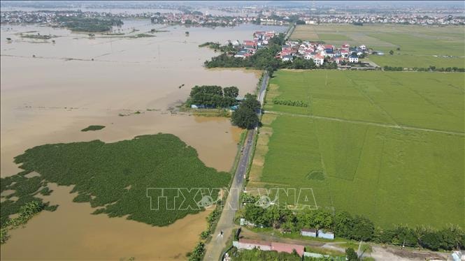 Công bố tình huống khẩn cấp ngập sàn trạm bơm tiêu Tân Hưng, Cẩm Hà 1, Tăng Long