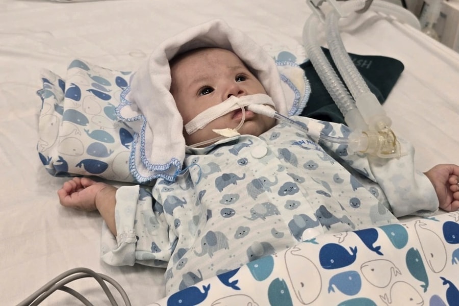 Bé 3 tháng tuổi nguy kịch vì sốc nhiễm khuẩn, cha mẹ nghèo bất lực cầu cứu